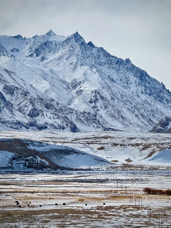 行社实测：问疆行999分登顶避坑指南全解析pg电子模拟器免费版2026喀什十大优质旅(图2)